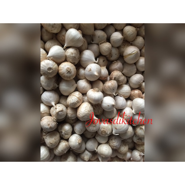 

Bawang Tunggal