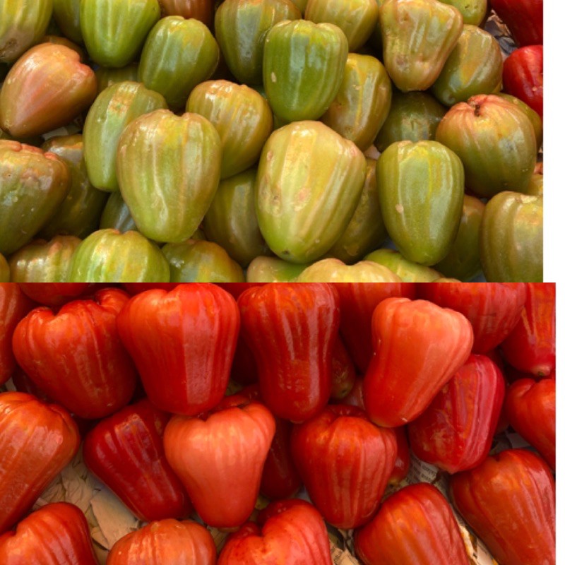 Jambu Air Cincalo 500gram