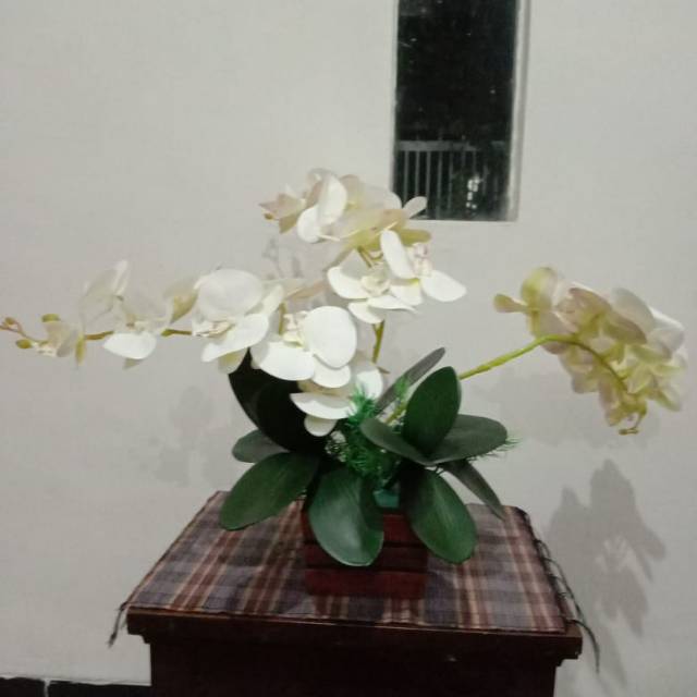 Bunga Anggrek latex premium || Bunga hias Anggrek latex premium