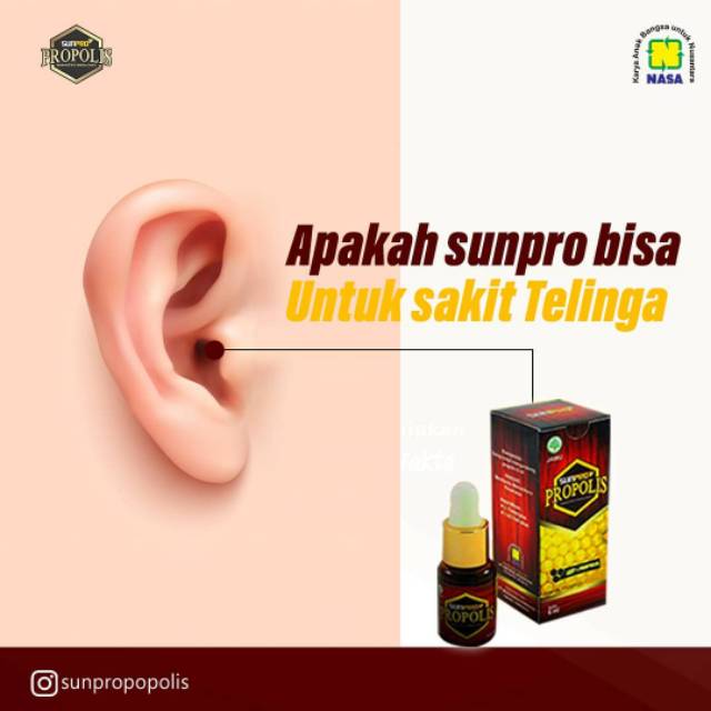 Sunpro Propolis Nasa Herbal Mengatasi Sakit Telinga Indonesia