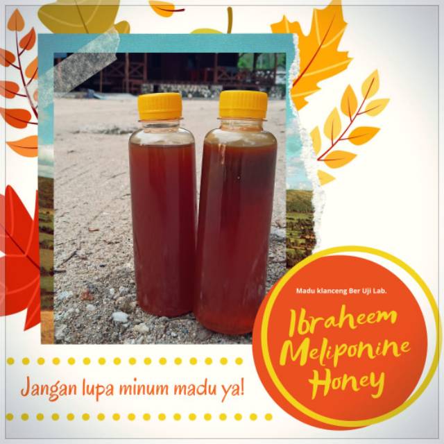

Madu klanceng