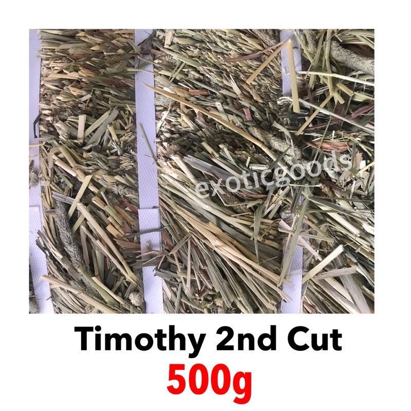 TIMOTHY HAY 2nd CUT 500g MAKANAN KELINCI MAKANAN MARMUT MAKANAN CHINCHILLA MAKANAN GUINEA PIG RUMPUT KELINCI RUMPUT JERAMI KELINCI TIMOTHY HAY KELINCI TIMOTHY HAY GUINEA PIG ALFALFA KING TIMOTHY HAY RHH TIMOTHY HAY