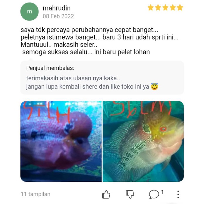 Pelet Racikan Ikan Louhan Carophyl Pink merah jenong 100gr