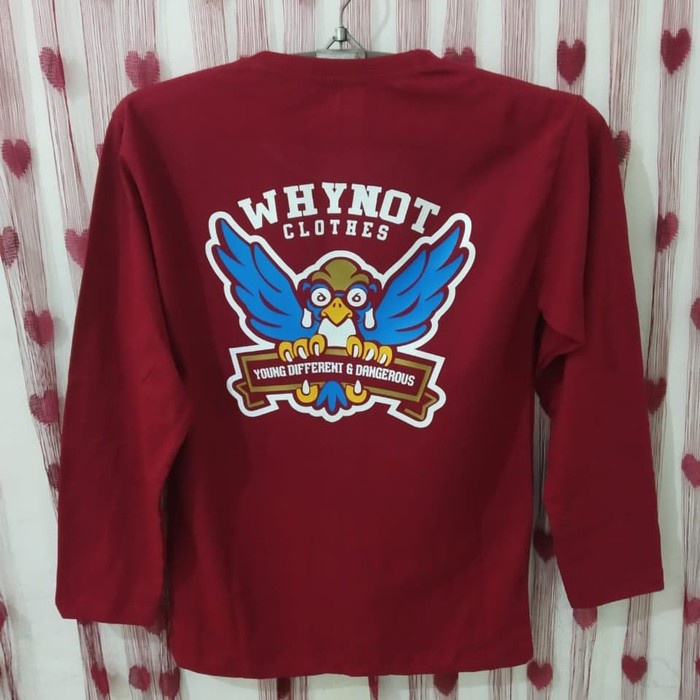 kaos lengan panjang/t shirt/baju keren WHYNOT