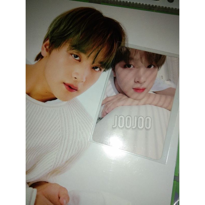 BOOKED haechan pc regulate / boboan