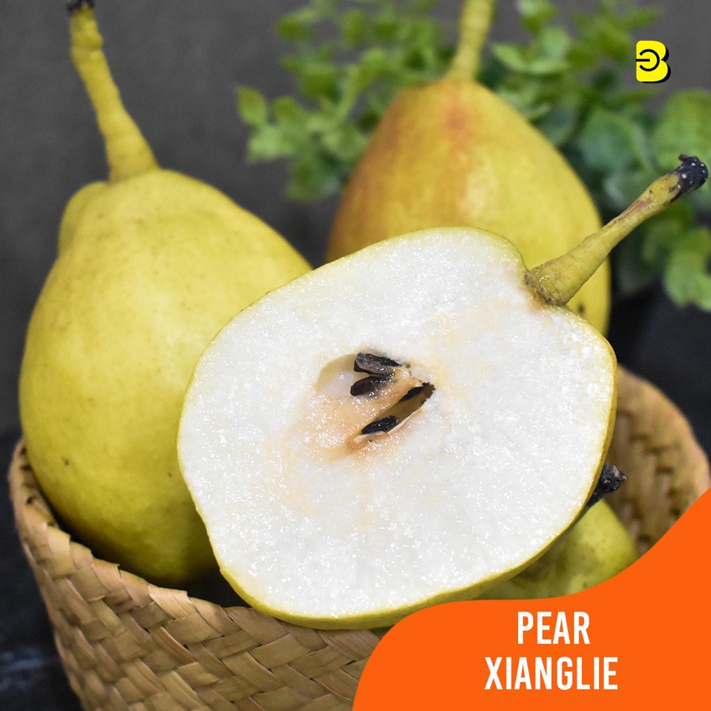 

PROMO PEAR XIANG LIE | BUAH PEAR SEGAR | PEAR JUMBO XIANG LIE | BUAH PEAR