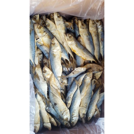 

Peda Banyar Besar/ Ikan Asin Banyar 1kg isi 13-16 ikan - KIA RIZKI