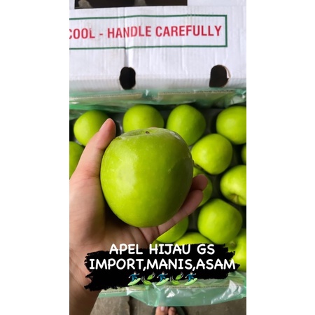 

aple hijau Gs