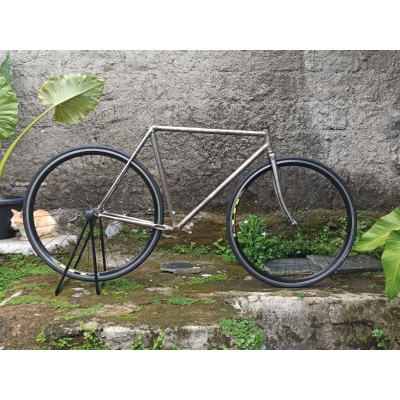 Frame Set Balap Raleigh + WS