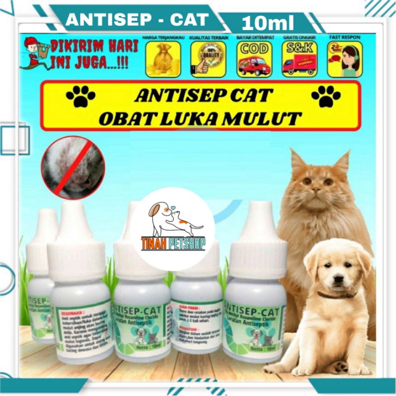 OBAT LUKA MULUT KUCING DAN ANJING ANTISEP CAT / OBAT KUCING ANTISEPTIK