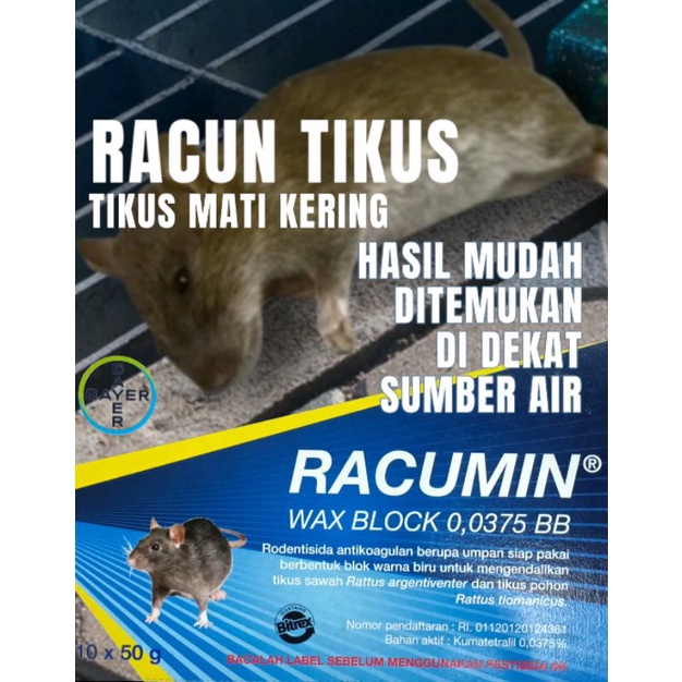 RACUN TIKUS PRODUK BAYER AMPUH