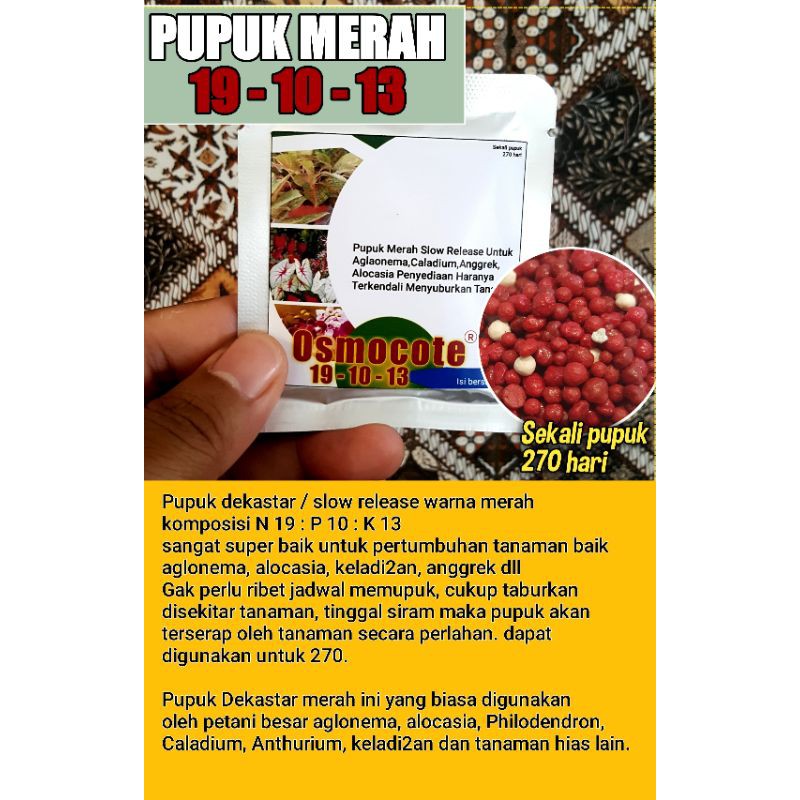 Pupuk Merah Aglaonema cepat beranak Dekastar Osmocote 19-10-13 Original Slow Release