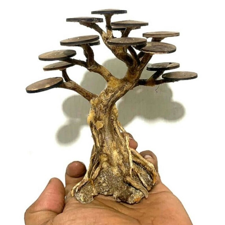 bonsai aquascape ukuran P-+ 18-22cm T-+ 18-22cm L-+10-18cm BONUSS MOSS (COD)