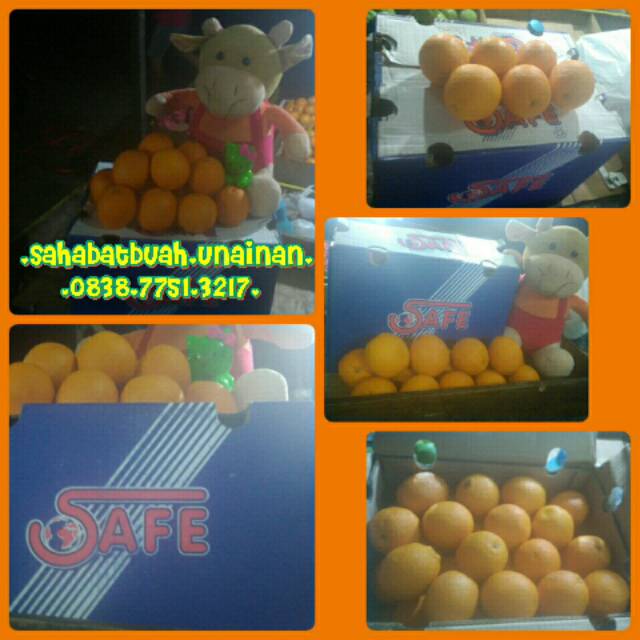 

sunkist marvel 1dus