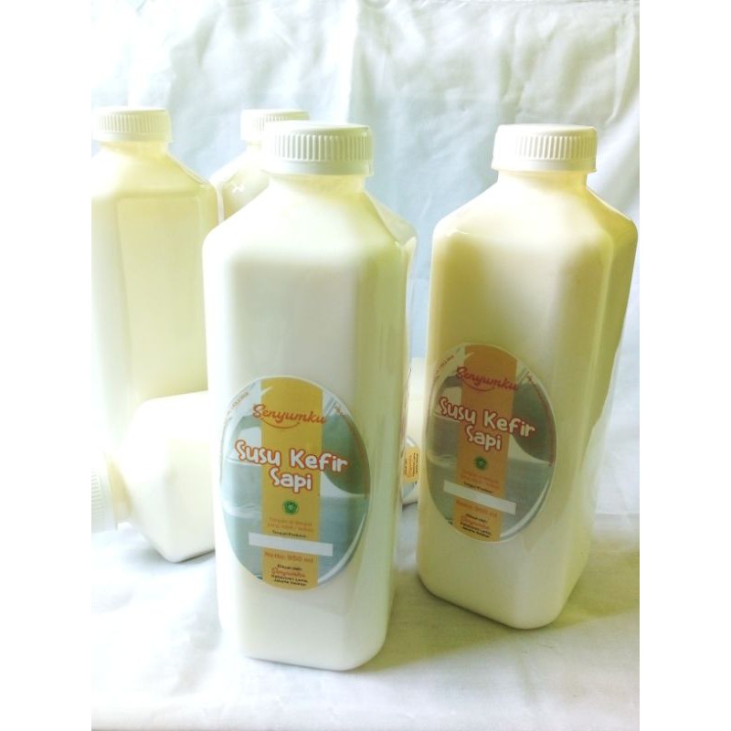 

Susu Kefir Sapi 48 Jam Fermentasi SENYUMKU HALAL MUI