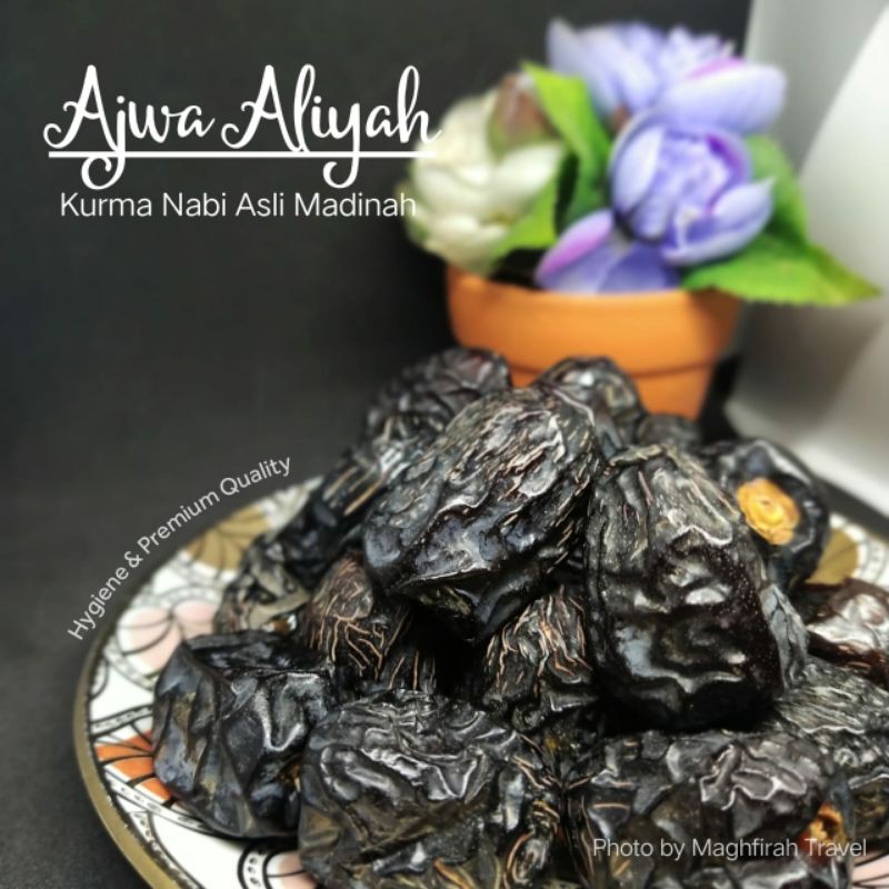 

kurma ajwa madinah aliyah