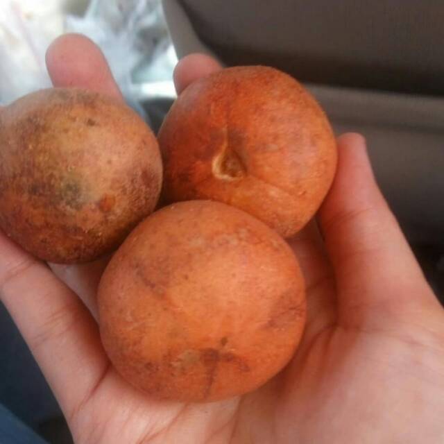

Tampuih manis sayang