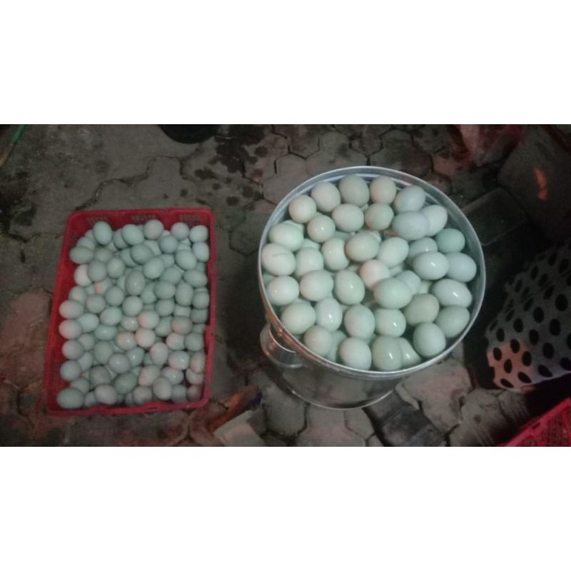

Telor Bebek Asin ASLI