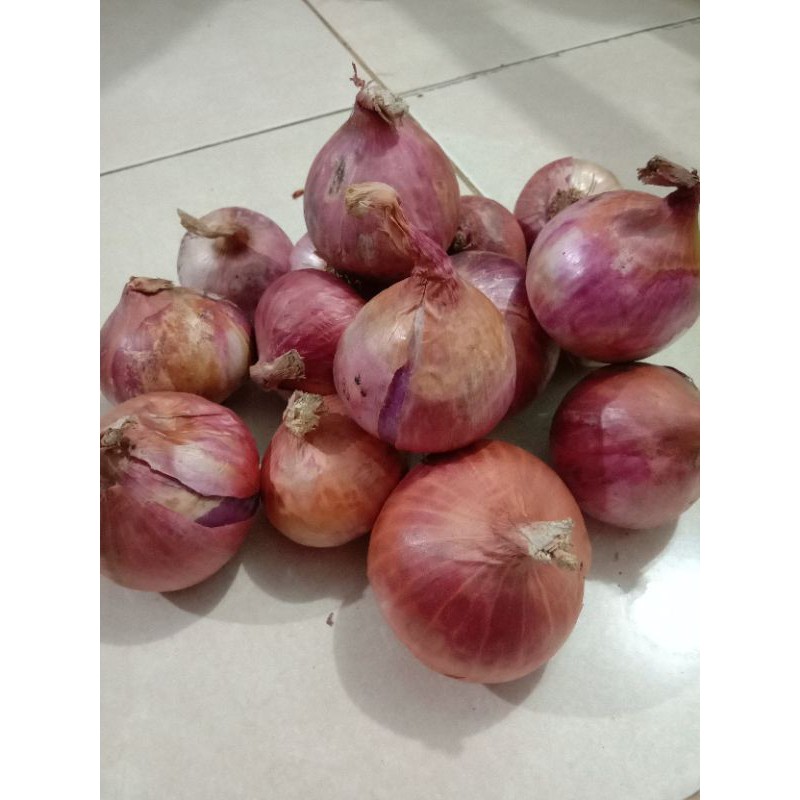 BAWANG MERAH INDIA Impor Bawang Merah Besar 1KG