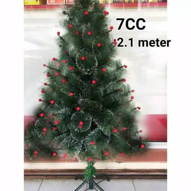 

Pohon natal cerry 7cc 2,1m