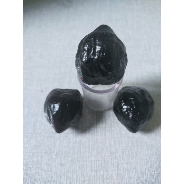 

Buah biji kemiri adu super per 2 biji