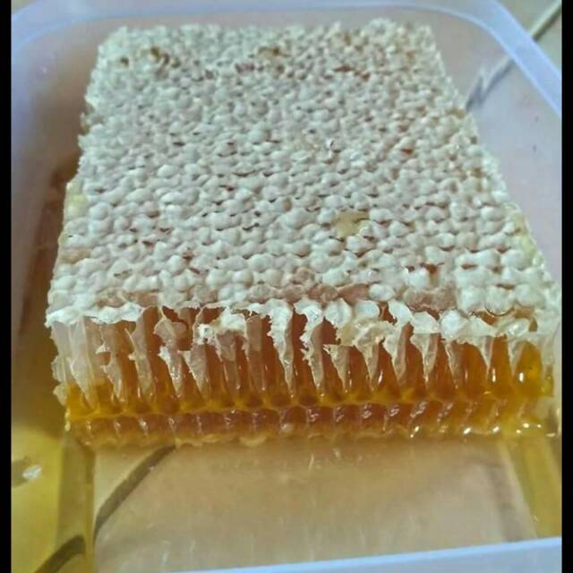 

Sarang madu