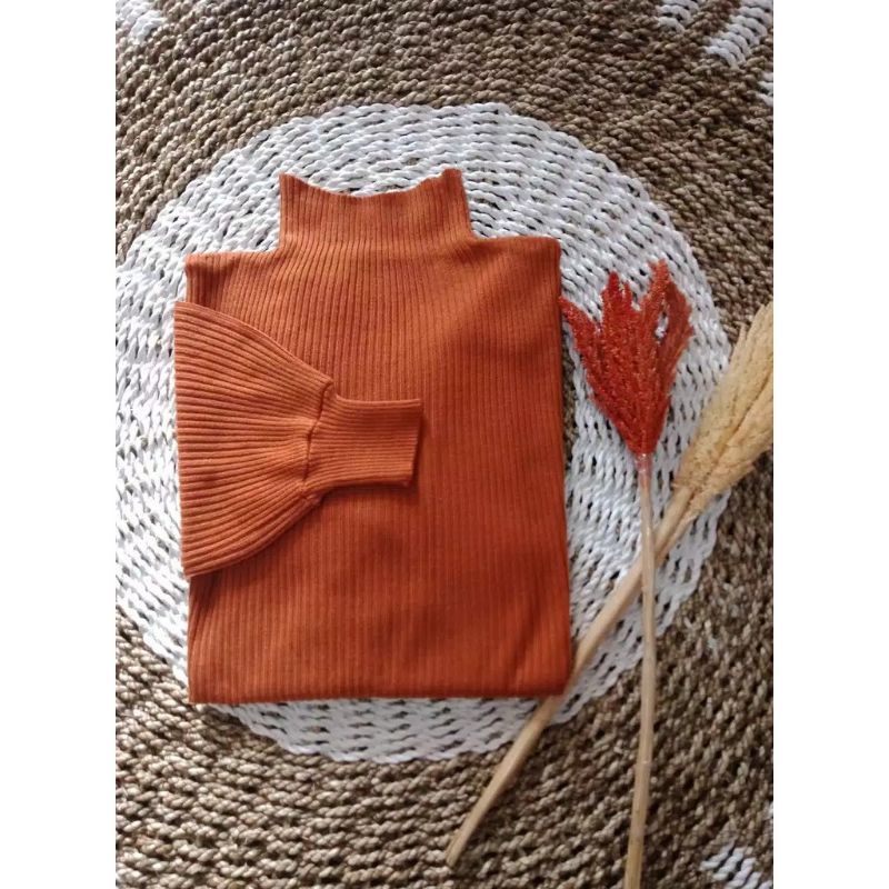 Sweater Blouse Turtleneck Wanita Variasi Lengan Balon