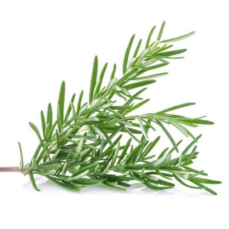 

Rosemary Organik 50g