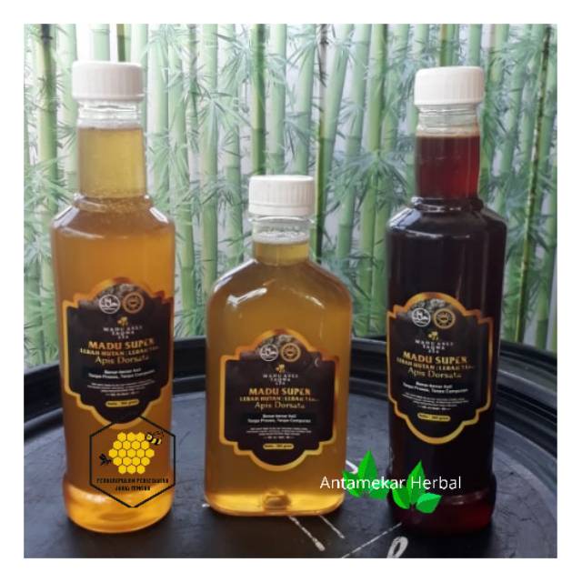 

Madu Hutan Apis Dorsata murni Tanpa Proses Tanpa Campuran 500gr