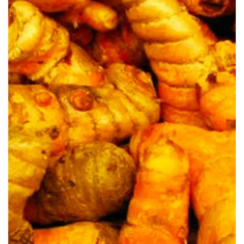 

Sayur Segar - Kunyit 250 gr