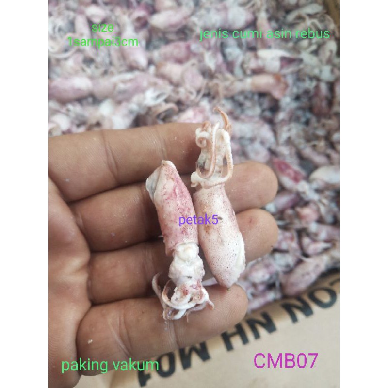 

Cumi asin beby 1kg/ cumi asin baby/cumi asin rebus/cumi asin kecil