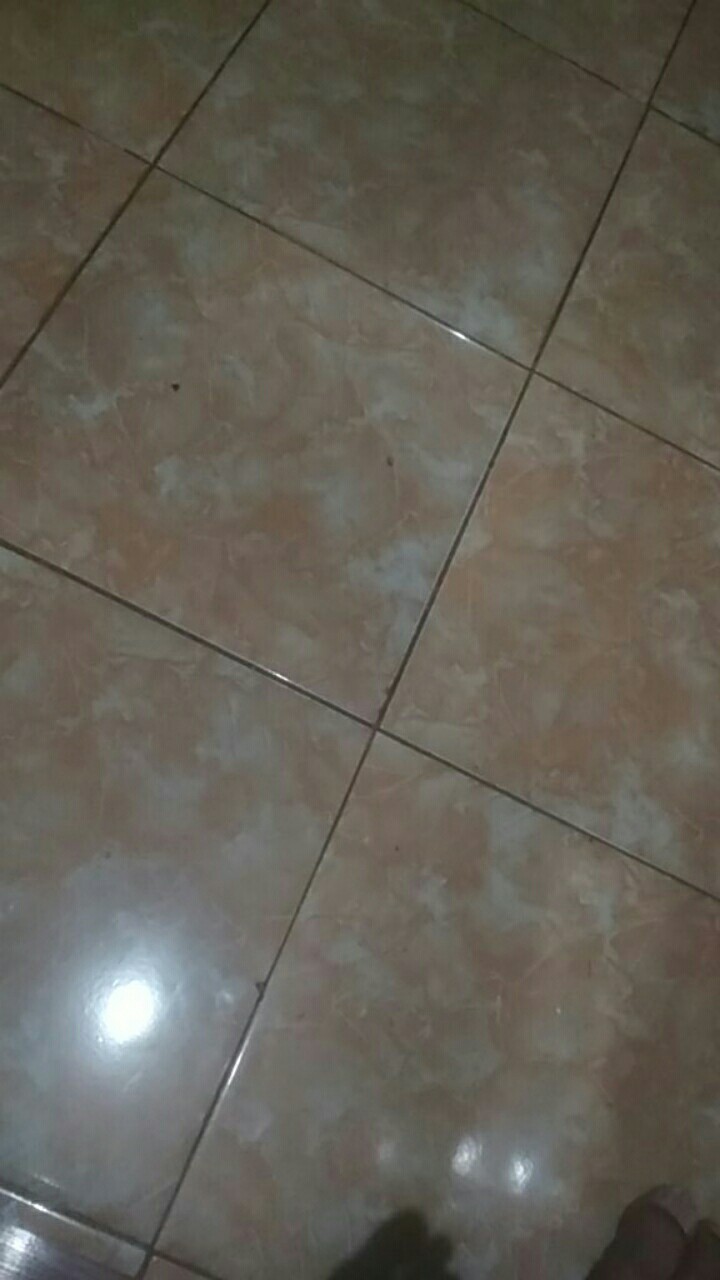 Orderan Cust Terdaftar 06