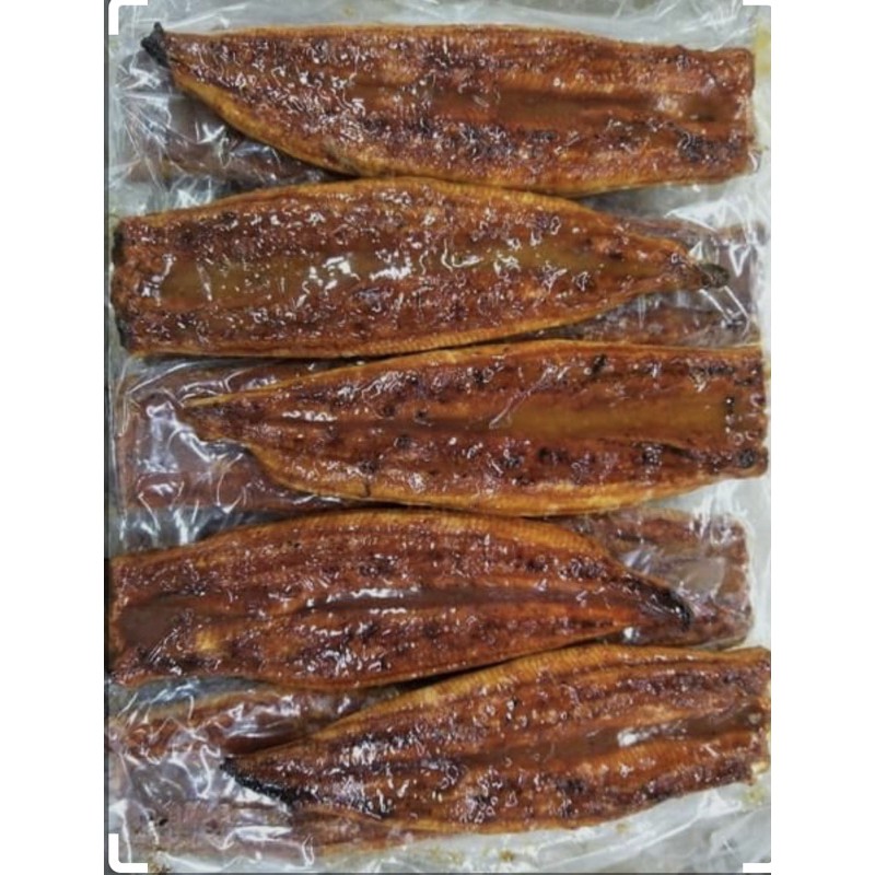 

unagi kabayaki ikan sidat jepang premium frozen beku 200gr