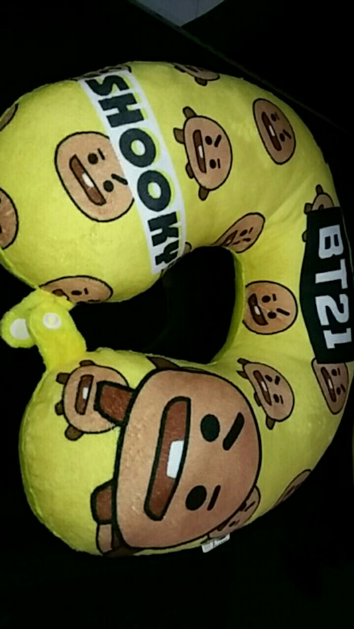 Bantal Leher Bts Bt21