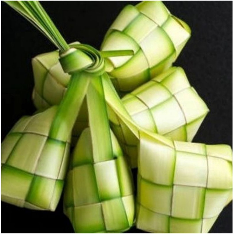 

KULIT KETUPAT KOSONG