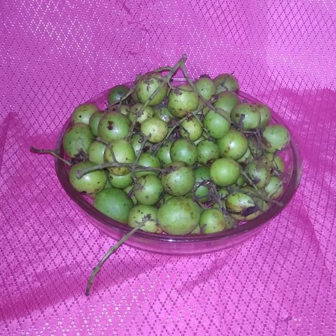 BIG SALE BUAH GANDARIA JATAKE MUDA MENTAH 1 KG