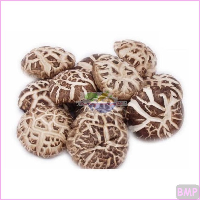 JAMUR KUPING HIOKO SHITAKE KERING 1kg