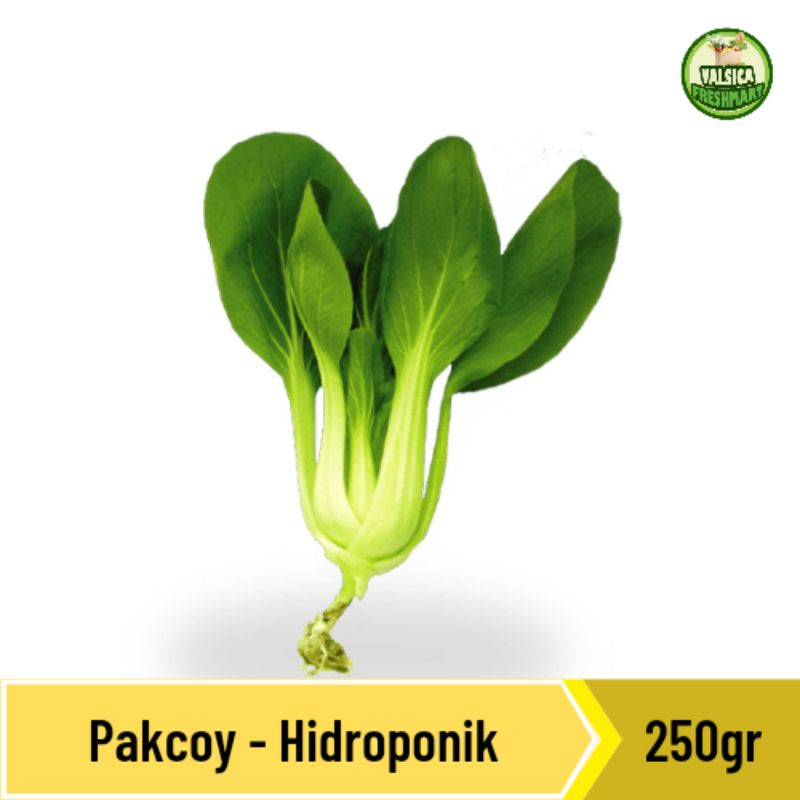 

pakcoy hidroponik 250gr