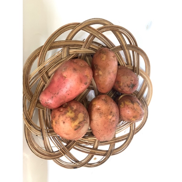 Kentang Merah Dieng 1kg