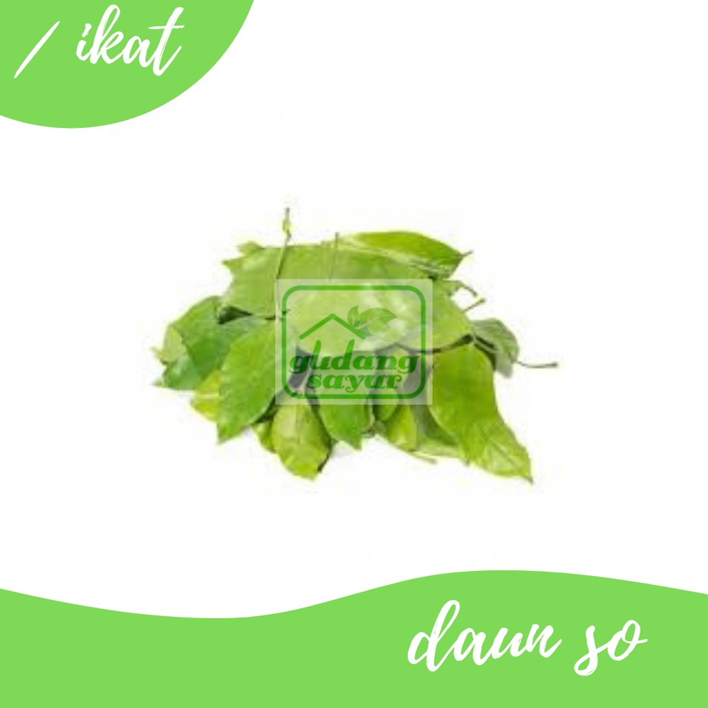 

Daun So 500g Gudang Sayur Purwokerto