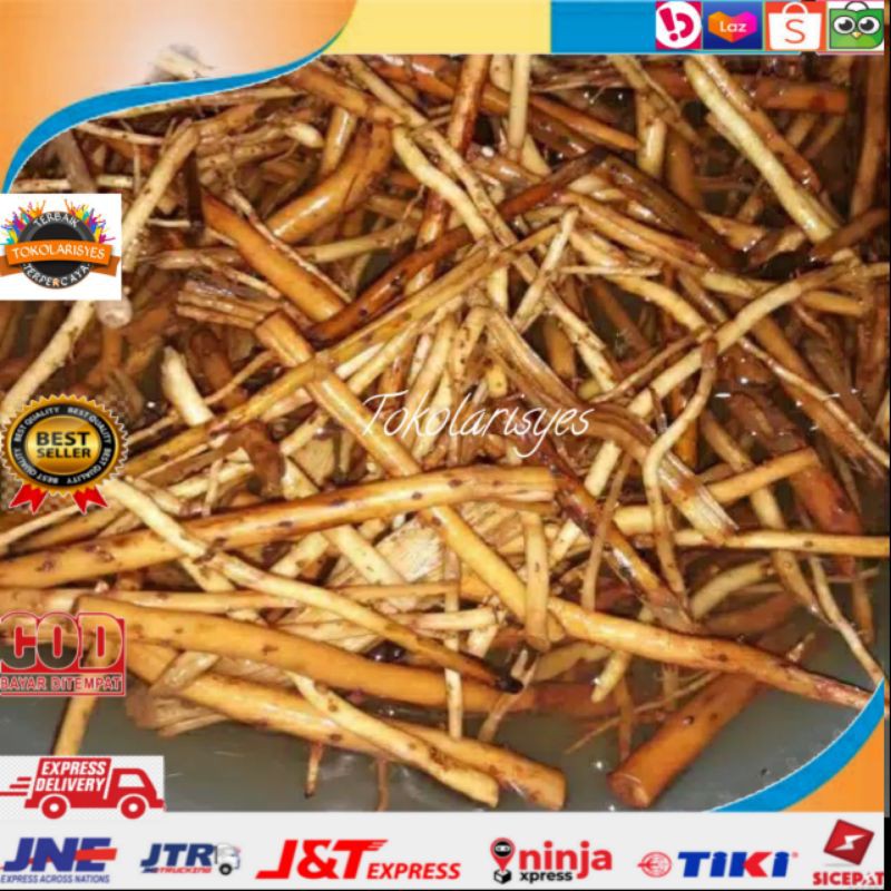 

Akar pinang segar 1kg fresh langsung Ambil