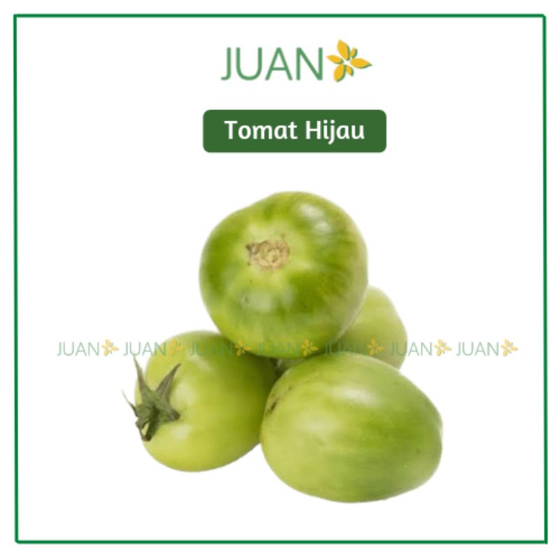 

Tomat Hijau 250gr - Juan Freshmart