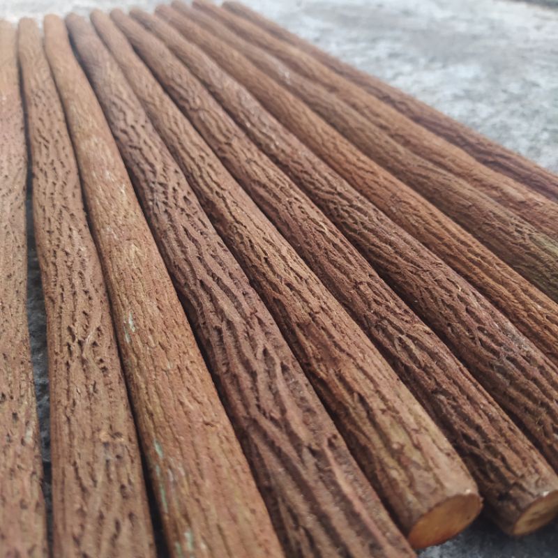 Tangkringan/pangkringan asem jawa super KACER,CENDET, JALAK,WAMBI panjang 50cm