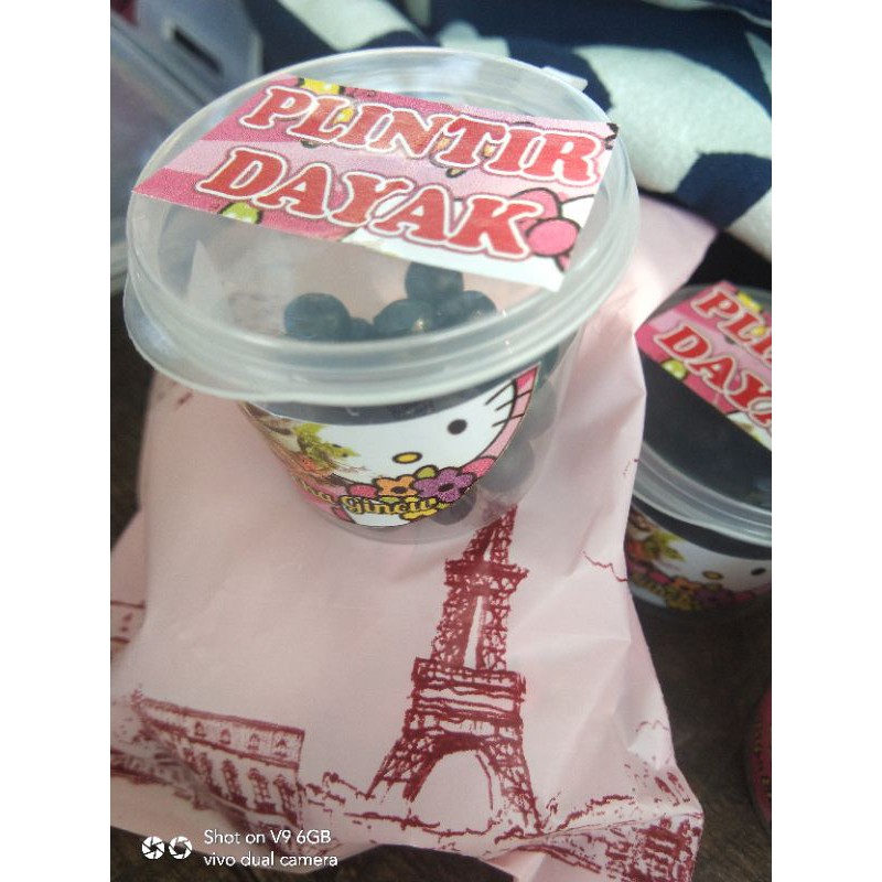 

plintir pil dayak asli dayak