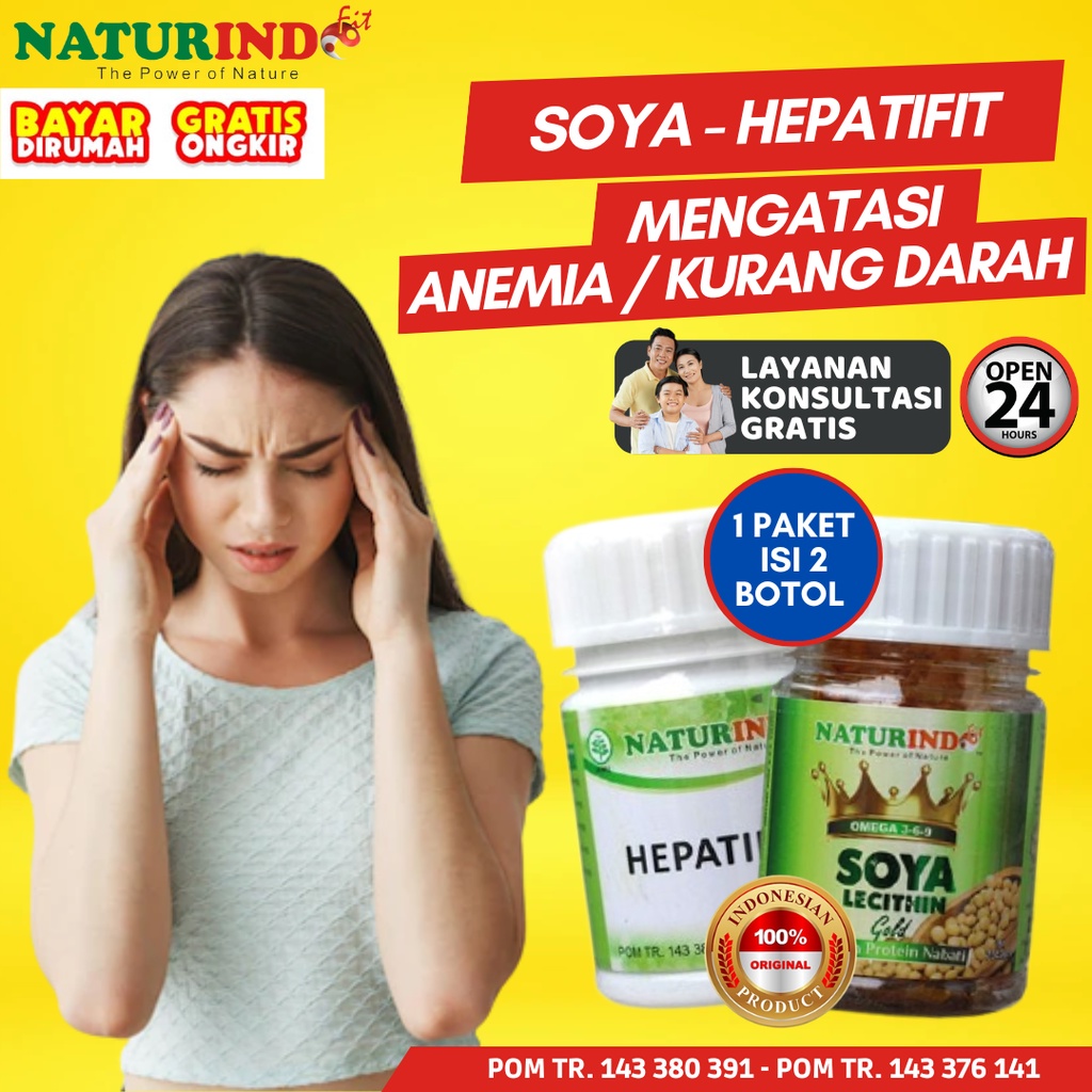 Jual Obat Herbal Anemia Kurang Darah Rendah HB Rendah Penambah Darah ...