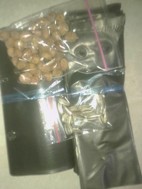 Paket 100 Lembar Polybag Untuk Semai