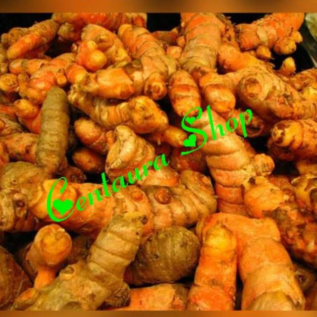 

Kunyit Segar Bersih Asli Kwalitas Super Unggul 1000gr