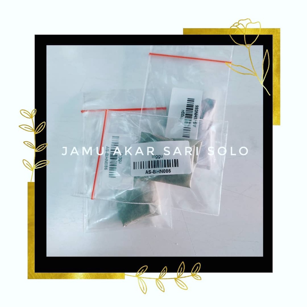 

Jamu Akar Sari - Getah Inggu 10 Gram - Mengobati Asma