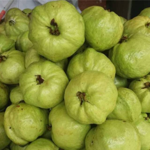 

JAMBU KRISTAL sunpride (JAMBU TANPA BIJI)/1kg