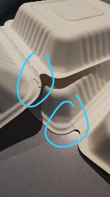 Bali Sugarcane Take Away Lunch Box Kotak Tempat Makan X Thinwall Paper Boks Wadah Makanan Bagasse